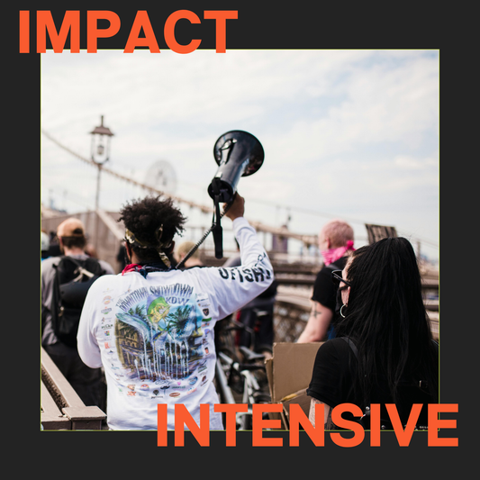Impact Intensive for Not-for-profits